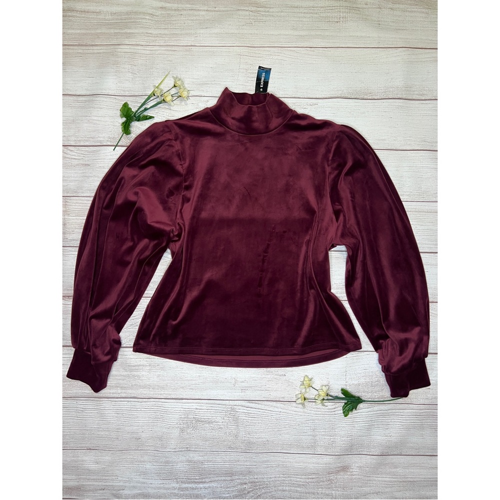 EXPRESS Velvet Ballon Sleeve Mock Neck Top
